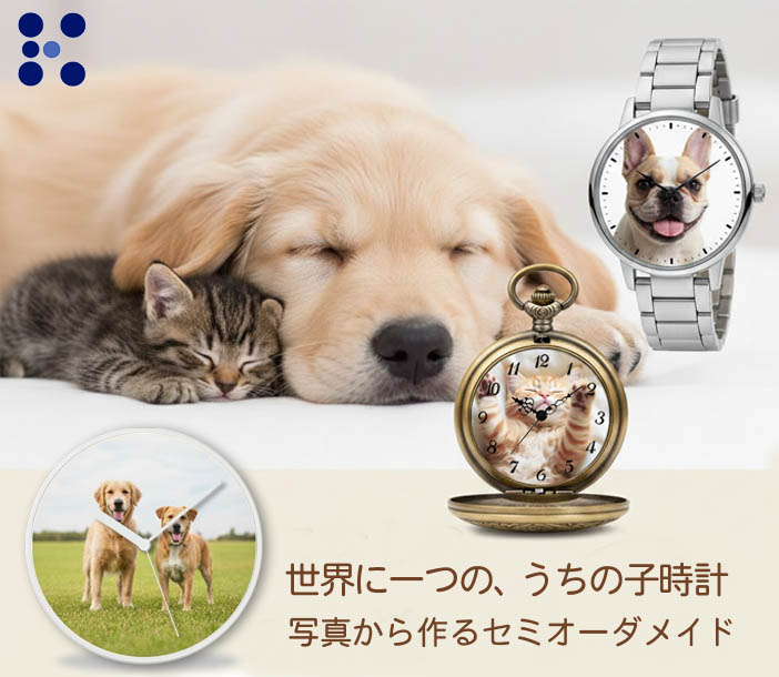 �����̎q�A�y�b�g���v�C���[�W